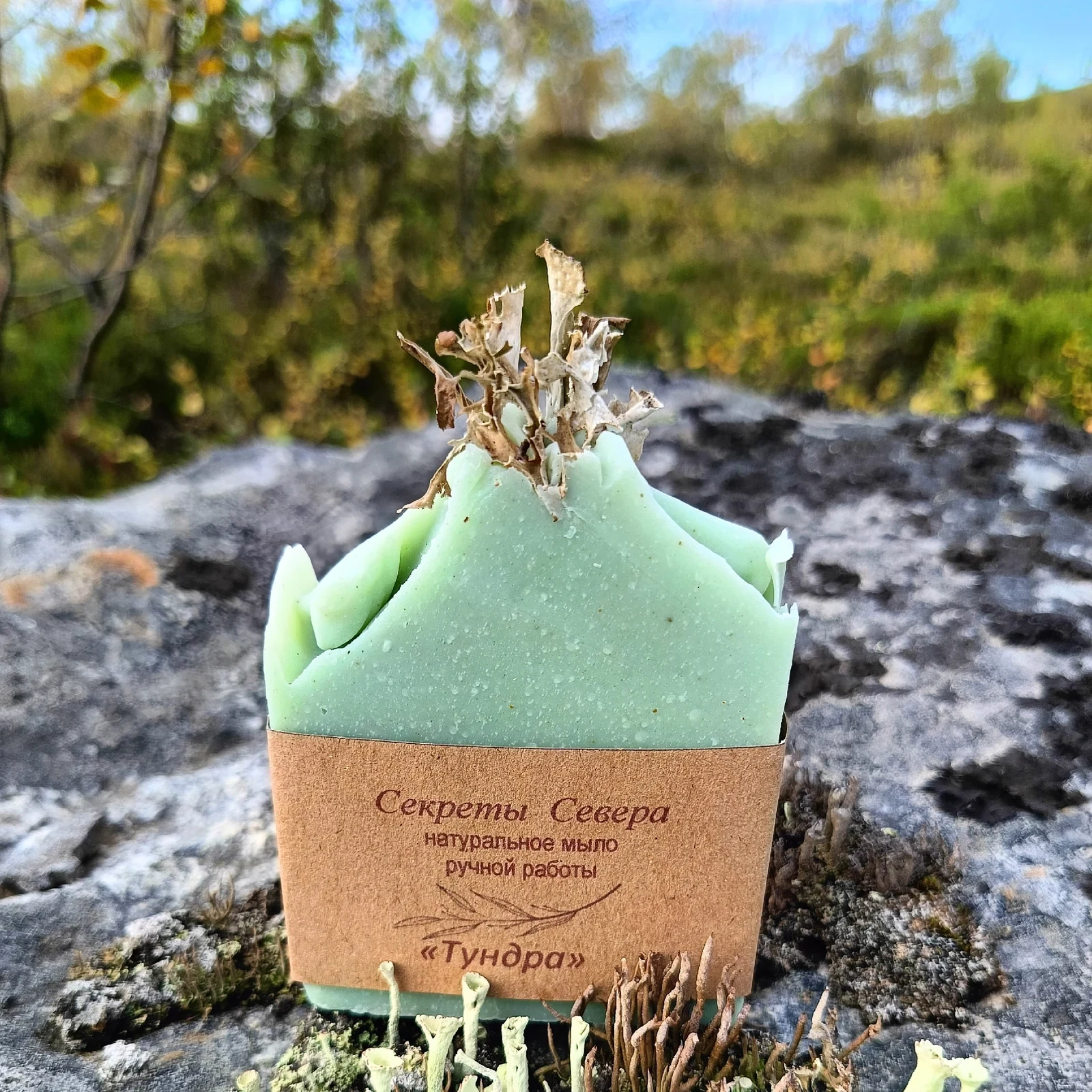 Секреты Севера